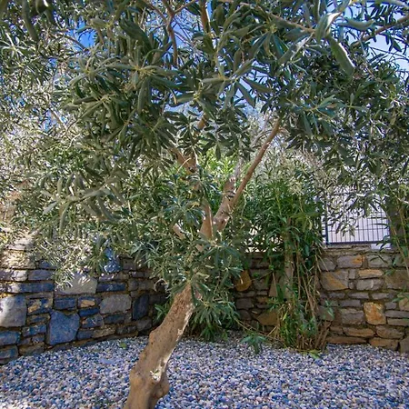With Private Pool And Lovely View In Bodrum