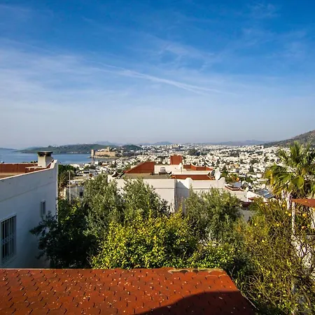 Vilă With Private Pool And Lovely View In Bodrum